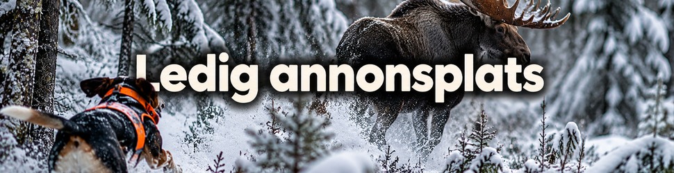 Ledig annonsplats
